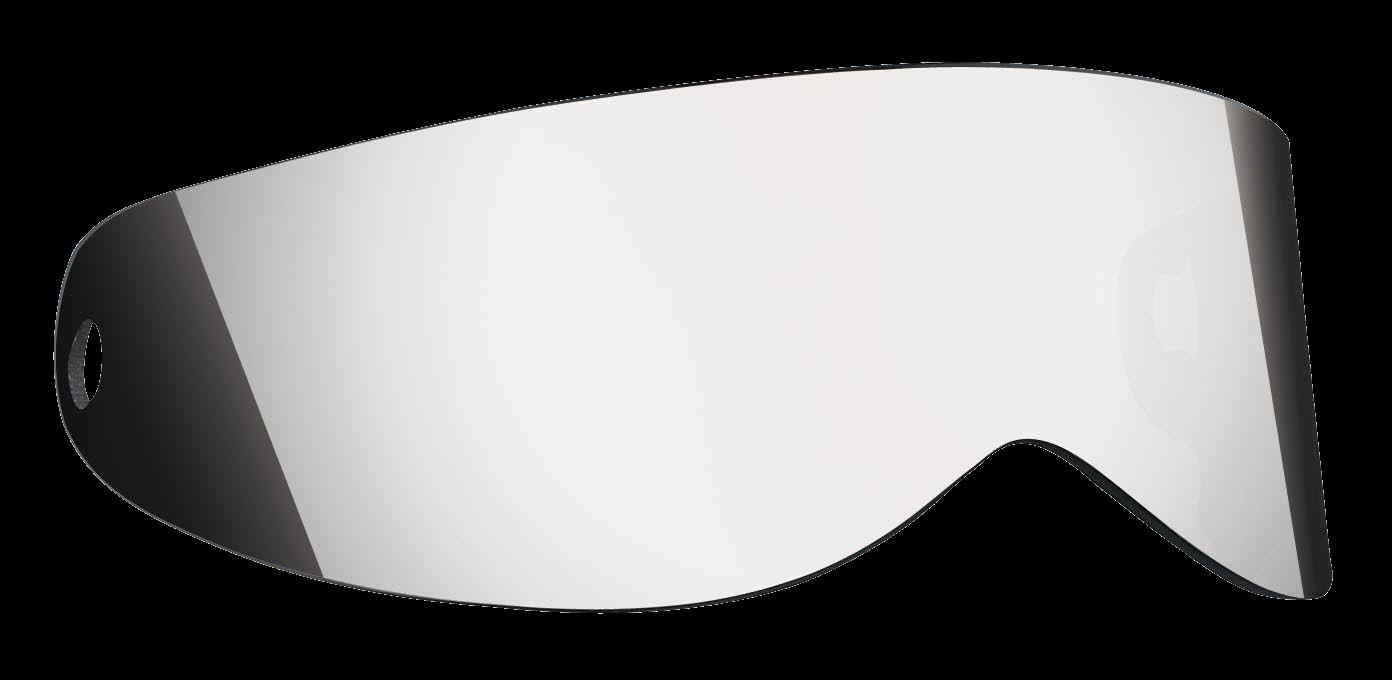 XXVISISP-S.jpg (31382 Byte)